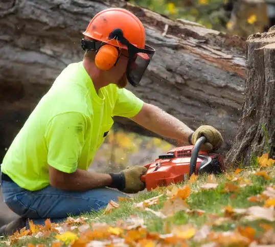 tree services Glouster